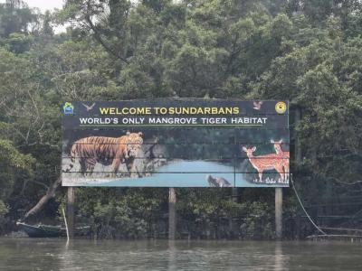 sundarban baidya travels